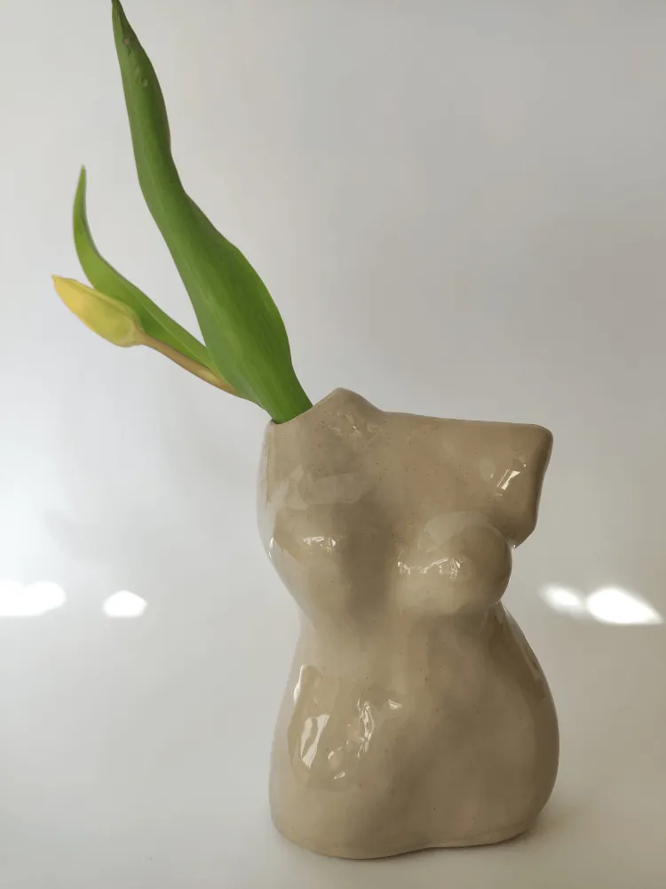 Vase Curves of Spring