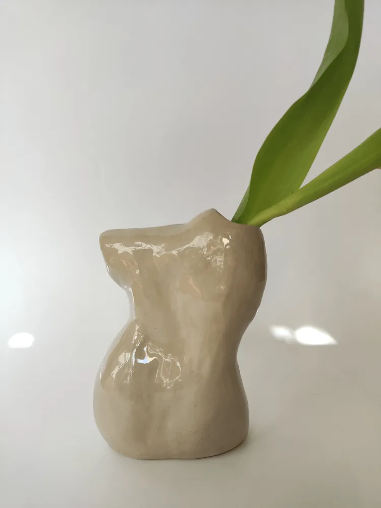 Vase Curves of Spring