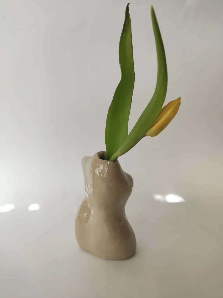 Vase Curves of Spring